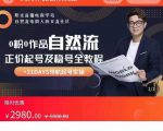 0粉0作品自然流正价起号及稳号全教程，专业自然流起号机构流程化教学（价值2980元）-新手副业项目