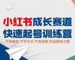 小红书成长赛道快速起号训练营，不露脸不写长文不拍视频，0粉丝冷启动变现之路-新手副业项目