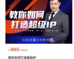 教你如何打造超级IP，抖音流量红利新机遇（价值980元）-新手副业项目