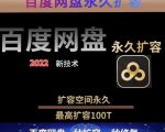 百度网盘无限扩容技术，外面卖399的，无论自己用还是用做引流都可以-新手副业项目