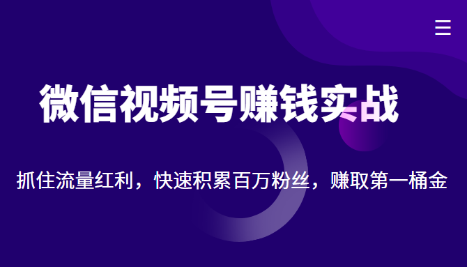 微信视频号赚钱实战：抓住流量红利，快速积累百万粉丝，赚取你的第一桶金-新手副业项目
