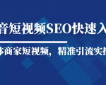 抖音短视频Seo搜索排名优化新手快速入门教程，实体商家短视频，精准引流实操课-新手副业项目