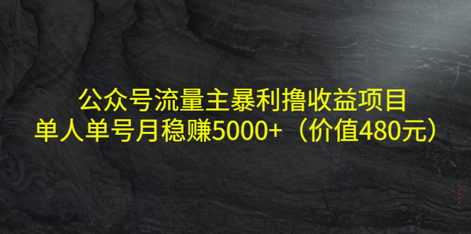 公众号流量主暴利撸收益项目,单人单号月稳赚5000+(价值480元)-新手副业项目