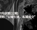 新媒体IP内训营(12期),一套全新的“公域引流,私域成交”IP打法,直接带走-新手副业项目