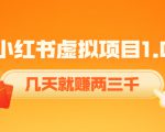《小红书虚拟项目1.0》账号注册+养号+视频制作+引流+变现，几天就赚两三千-新手副业项目