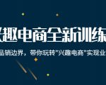 兴趣电商全新训练营：打破品销边界，带你玩转“兴趣电商“实现业务增长-新手副业项目