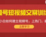 视频号短视频文案训练营：0基础小白如何建立视频号，上热门，能卖货！-新手副业项目
