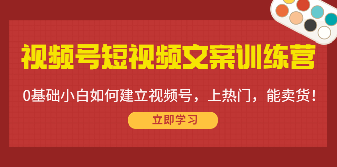 视频号短视频文案训练营：0基础小白如何建立视频号，上热门，能卖货！-新手副业项目