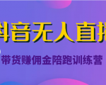 抖音无人直播带货赚佣金陪跑训练营（价值6980元）-新手副业项目