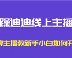 暴躁迪迪线上主播课，金牌主播教新手小白如何开播-新手副业项目