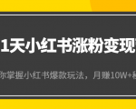 21天小红书涨粉变现营（第4期）：带你掌握小红书爆款玩法，月赚10W+秘密-新手副业项目