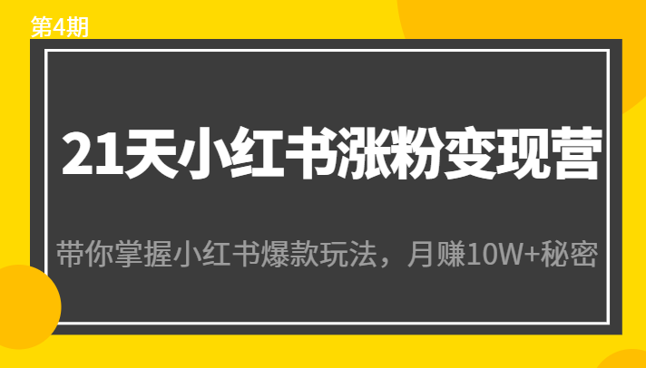 21天小红书涨粉变现营（第4期）：带你掌握小红书爆款玩法，月赚10W+秘密-新手副业项目