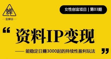 资料IP变现，能稳定日赚3000起的持续性盈利玩法-新手副业项目