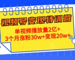 21天视频号变现特训营：单视频播放量2亿+3个月涨粉30w+变现20w+（第14期）-新手副业项目