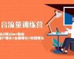美业抖音流量训练营：从0到10w+粉丝 让你的门店用户增长+业绩增长+利润增长-新手副业项目