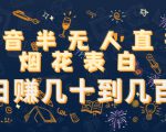 抖音半无人直播烟花表白，日赚几十到几百（教程+视频模板素材）-新手副业项目