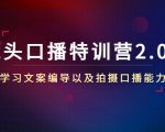 镜头口播特训营2.0版，学习文案编导以及拍摄口播能力（50节课时）-新手副业项目