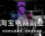 蓝Sir派·淘宝短视频快速起店，替代传统搜索方式，学会做一个不一样的淘宝店-新手副业项目