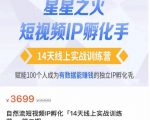 瑶瑶·自然流短视频IP孵化第二期,14天线上实战训练营,赋能100个人成为有数据能赚钱的独立IP孵化手-新手副业项目