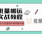 视频号批量搬运实战操作运营赚钱教程,傻瓜式批量制作高质量内容【附视频教程+PPT】-新手副业项目
