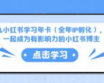 厦九九小红书学习年卡（全年IP孵化），沉浸式学习，一起成为有影响力的小红书博主-新手副业项目