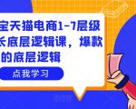 大圣淘宝天猫电商1-7层级盈利增长底层逻辑课,爆款的底层逻辑-新手副业项目