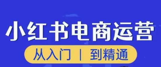 顽石小红书电商高阶运营课程,从入门到精通,玩法流程持续更新-新手副业项目