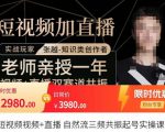 张越·短视频+直播，自然流三频共振起号实操课，​短视频所有流量玩法讲解-新手副业项目