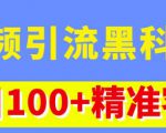 视频引流黑科技玩法，不花钱推广，视频播放量达到100万+，每日100+精准客源-新手副业项目