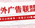 外面收费1980的最新国外LEAD广告联盟搬砖项目，单号一天至少30美金【详细玩法教程】-新手副业项目