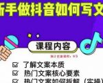 新手做抖音如何写文案，手把手实操如何拆解热门文案-新手副业项目