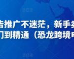 亚马逊广告推广不迷茫,新手卖家产品运营入门到精通(恐龙跨境电商)-新手副业项目