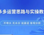 拼多多店铺运营思路与实操教程，快速学会拼多多开店和运营，少踩坑，多盈利-新手副业项目