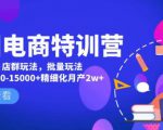 美团电商特训营：美团·店群玩法，无脑铺货月产出6000-15000+精细化月产2w+-新手副业项目