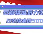 豆瓣精准暴力引流，日引精准粉500+【12课时】-新手副业项目