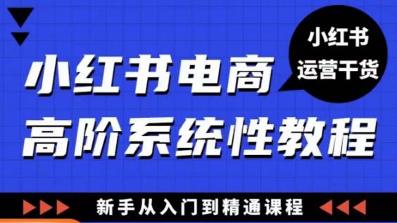 小红书电商高阶系统教程，新手从入门到精通系统课-新手副业项目