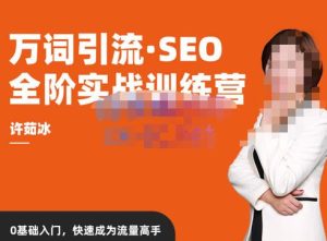 许茹冰·万词引流-SEO全阶实战训练营，0基础入门，快速成为流量高手-新手副业项目