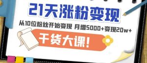 21天精准涨粉变现干货大课:从10位粉丝开始变现月增5000+变现20w+-新手副业项目