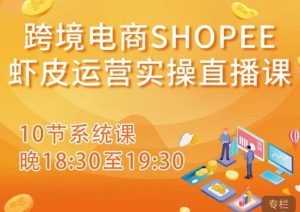 跨境电商Shopee虾皮运营实操直播课,从零开始学,入门到精通(10节系统课)-新手副业项目