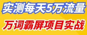 百度万词霸屏实操项目引流课,30天霸屏10万关键词-新手副业项目