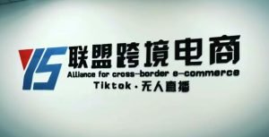 YS联盟·Tiktok无人直播，不出镜不剪辑不拍摄不发货无售后的跨境短视频躺赚玩法-新手副业项目