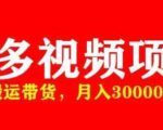 多多带货视频快速50爆款拿带货资格，搬运带货，月入30000【全套脚本+详细玩法】-新手副业项目