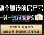 刘广标·同城房产号线上陪跑课，拍摄、剪辑、写文案、直播，做一个具有潜力价值的房产号-新手副业项目