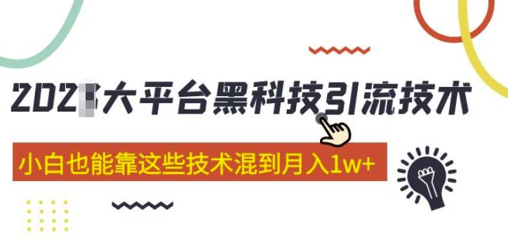 大平台黑科技引流技术，小白也能靠这些技术混到月入1w+(2022年的课程）-新手副业项目