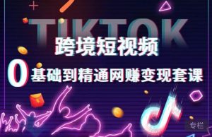 跨境短视频TIKTOK 0基础到精通网赚变现套课,跨境短视频独立站带货变现技巧-新手副业项目