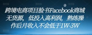 跨境电商项目脸书Facebook商城无货源，低投入高利润，熟练操作后月收入不会低于1W-3W-新手副业项目