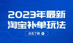 2023年最新淘宝补单玩法，18节课让教你快速起新品，安全不降权-新手副业项目