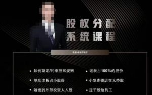 韩老师聊美业-美业股权分配系统课程，如何制定约束股东规则+老板占100%的股份+单店老板占小股份等-新手副业项目