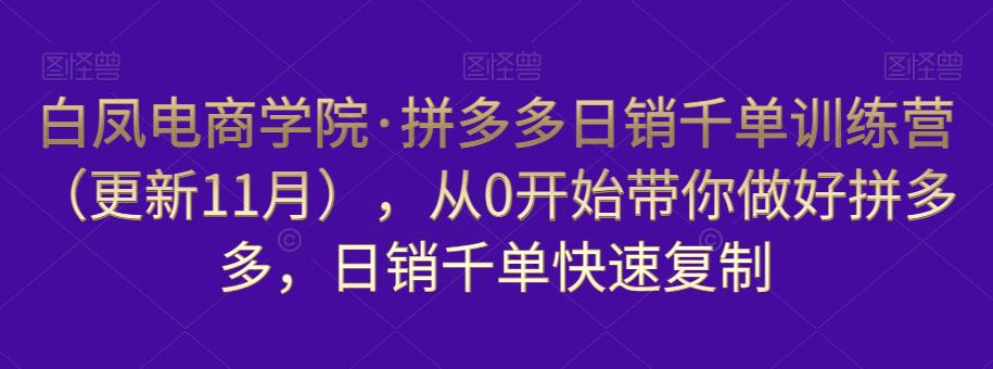 白凤电商学院·拼多多日销千单训练营，从0开始带你做好拼多多，日销千单快速复制（更新知2023年3月）-新手副业项目