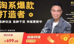 锋投老叶全店动销，淘系干货汇总，各种玩法，淘系爆款打造者-新手副业项目